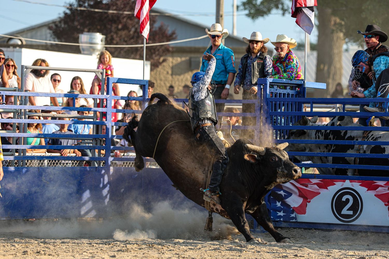 Bull rider hanging on as the bull bucks in the arena