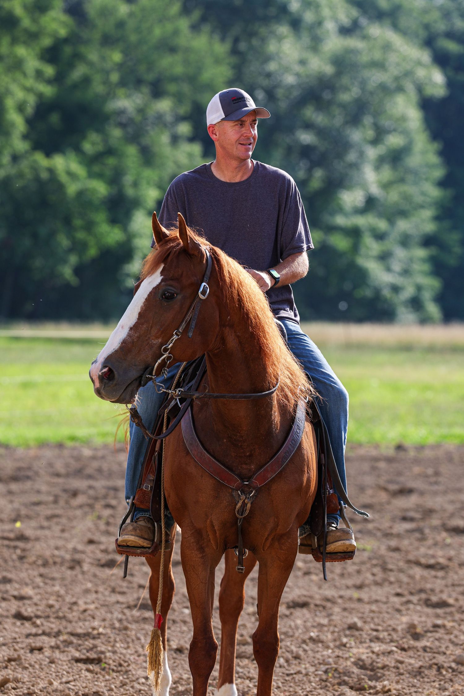 Rider on a sorrel horse in a green field